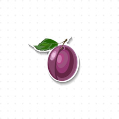 plum isolated illustration