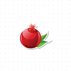 pomegranate isolated illustration