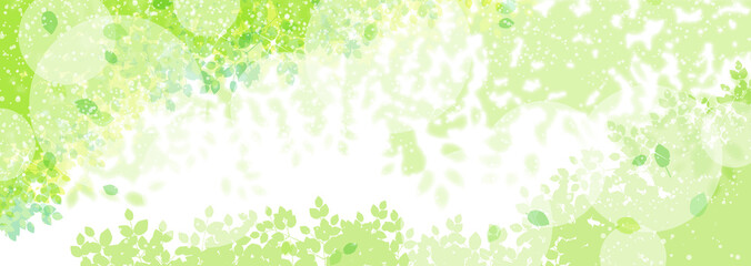 緑の植物と木漏れ日 © umiberry