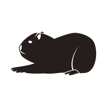 1 534 Best カピバラ Images Stock Photos Vectors Adobe Stock 1 534 Best カピバラ Images Stock Photos Vectors Adobe Stock