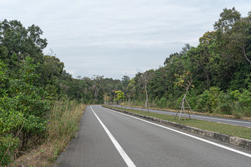 Fototapeta premium road in Phu Quoc