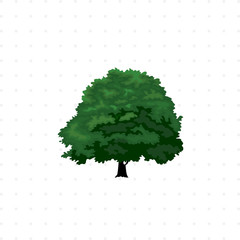 tree isolated illustration