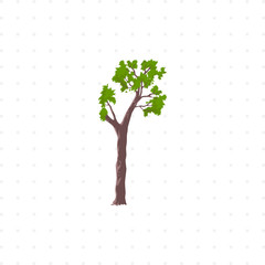 tree isolated illustration