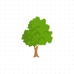 tree isolated illustration