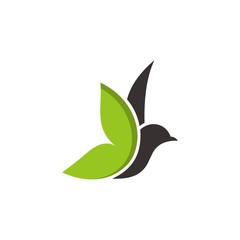 leaf bird logo template - Vector