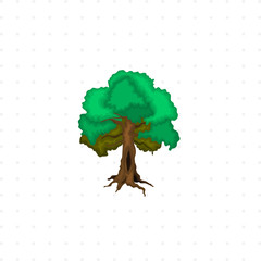 tree isolated illustration