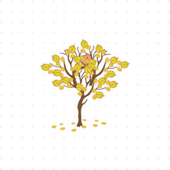 Tree with fallen leaves