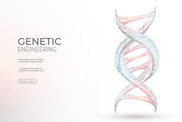 DNA polygonal genetic engineering abstract background. The isolated concept of medical science, genetic biotechnology consists of low poly wireframe, geometry triangle, lines, dots, polygons, shapes.