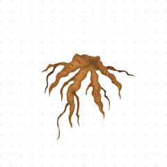 tree root isolated illustration