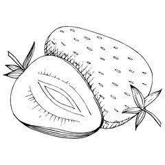Vector Strawberry healthy food. Black and white engraved ink art. Isolated berry illustration element.