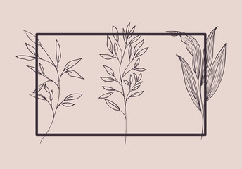 set of plants botanical drawn