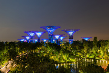Fototapeta premium Supertree grove forest illuminated at night. Gardens by the bay, Singapore city.