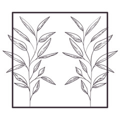 square frame with spring leafs