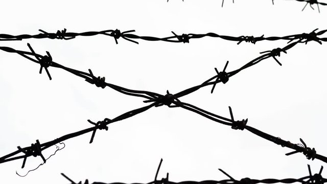 barbed wire - freedom