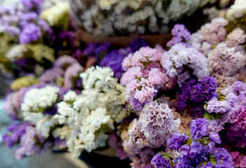 Beautiful flowers as background