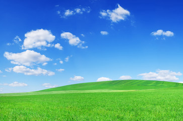 Fototapeta na wymiar Idyllic view, green field and the blue sky with white clouds