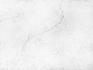 White marble texture with black line nature patterns for background