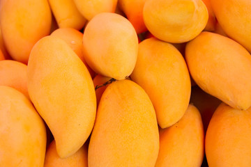 Fototapeta na wymiar Mango, Tropical Fruits, Selling at morning market