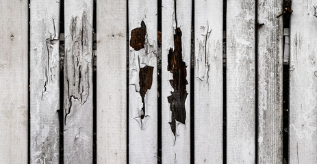 Verwitterter weißer Holzzaun