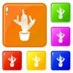 Cactus icons set collection vector 6 color isolated on white background