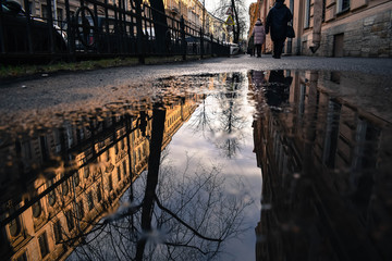 reflection in a puddle