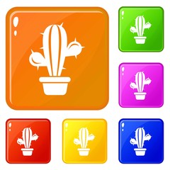 Domestic cactus icons set collection vector 6 color isolated on white background
