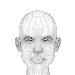 Wireframe head girls with a serious facial expression. Polygonal girl head isolated on white background. 3D. Vector illustration