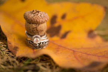 Wedding rings with fall leaf and acorn