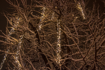 Winter time in city covered with snow and decorations