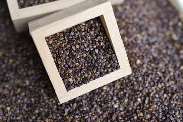 収穫された蕎麦の実