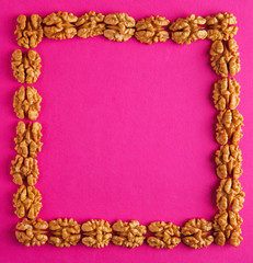 Frame made of tasty shelled walnuts on color background