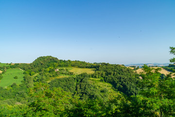 Fototapeta na wymiar Vegetazione e colline viste da Pozzuolo dei Colli al Metauro