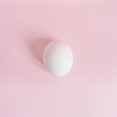 white egg on pink background in natural light top view