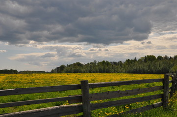 rural landscape with wooden fence