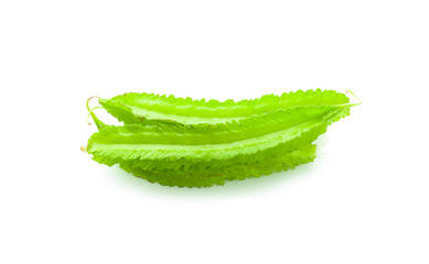 winged bean on white background