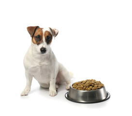 Cute funny dog and bowl with dry food on white background
