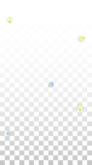 Vector Realistic Colorful Petals Falling on Transparent Background.  Spring Romantic Flowers Illustration. Flying Petals. Sakura Spa Design. Blossom Confetti. Design Elements for Wedding Decoration.