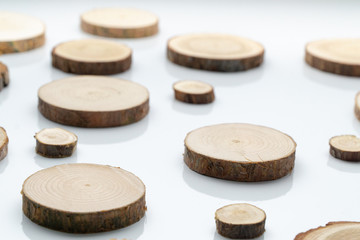 Pine tree cross-sections with annual rings on plane white surface. Lumber piece close-up shot.