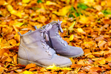 Boots, grey autumn shoes