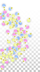 Vector Realistic Colorful Petals Falling on Transparent Background.  Spring Romantic Flowers Illustration. Flying Petals. Sakura Spa Design. Blossom Confetti. Design Elements for Wedding Decoration.