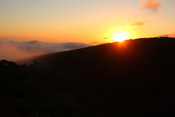 Misty summer sunrise over a sloping hillside.