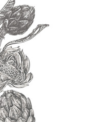 Artichoke. Hand drawn illustration. Can be used for shop, menu, cafe, restaurant, poster, banner.