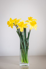 Bouquet de jonquilles