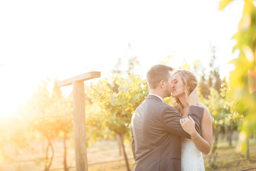 young bride and groom kissing in vineyard at sunset