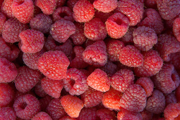 Close up of the ripe raspberry as background.