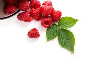 White cup with ripe raspberries and green leaf isolated on white background.
