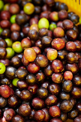 Olive fruit
