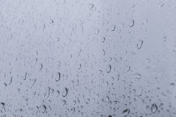 raindrops on the glass