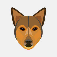 Dog face vector illustrated portrait . Cute face on a gray background.