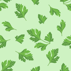 Parsley seamless pattern on green background. Vector illustration of fragrant herbs in cartoon simple flat style.